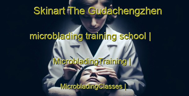 Skinart The Gudachengzhen microblading training school | MicrobladingTraining | MicrobladingClasses | SkinartTraining-China